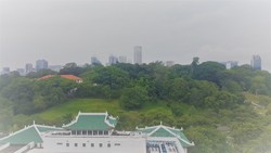 The Imperial (D9), Condominium #199453852